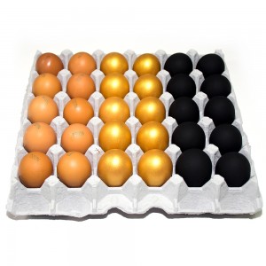 Âü½¡ ÈÆÁ¦°è¶õ ±¸¿î°è¶õ10±¸+Èæ¶õ10±¸+Ȳ±Ý¶õ10±¸/±¸¿î¶õ »îÀº°è¶õ