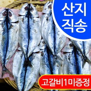 ������ �ݰ��� ������ 7����(31cmx13cm����)/�ݰ�������� ��䱸�̿�,������� �����