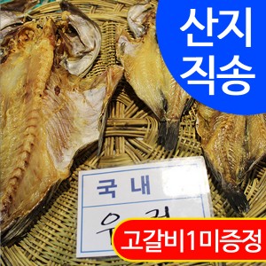 ������ �ݰ��� �췰 2����(�� 30cm)/������� �����