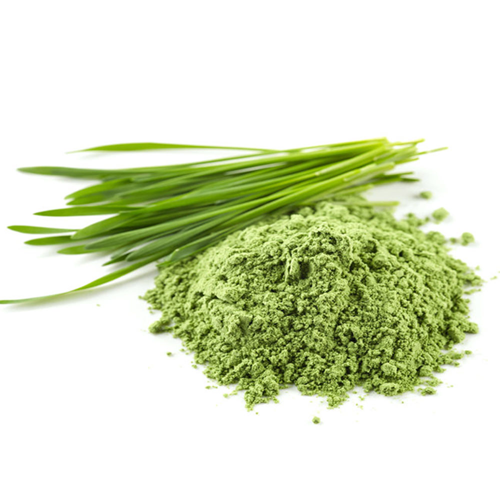 ¿ì¸®Á¸ »õ½Ïº¸¸®ºÐ¸» 200g ÁöÆÛÆÑÆ÷Àå/TJ