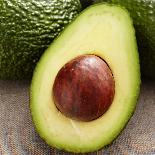 »ý ¾Æº¸Ä«µµ 1°ú (Áß-´ë°ú)