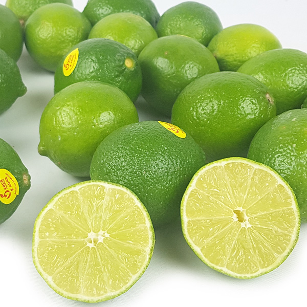 »ý ¶óÀÓ 1kg 12°ú³»¿Ü