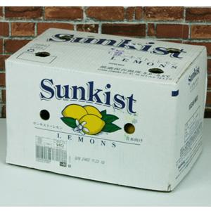 ��Ű��Ʈ ���� 17kg 140-165�� / ��뷮