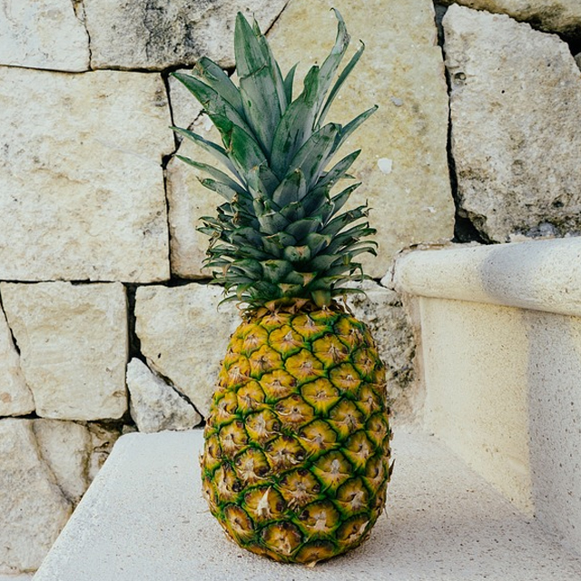 °í´çµµ °ñµå ÆÄÀξÖÇà 1°ú