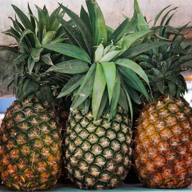 ���絵  ������ξ��� 12kg (12-7��)