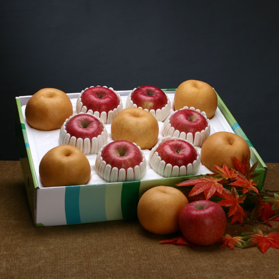 ÇÁ¸®¹Ì¾ö »ç°ú+¹è È¥ÇÕ ¼±¹°¼¼Æ® 5.5kg (»ç°ú 6°ú + ¹è5°ú)