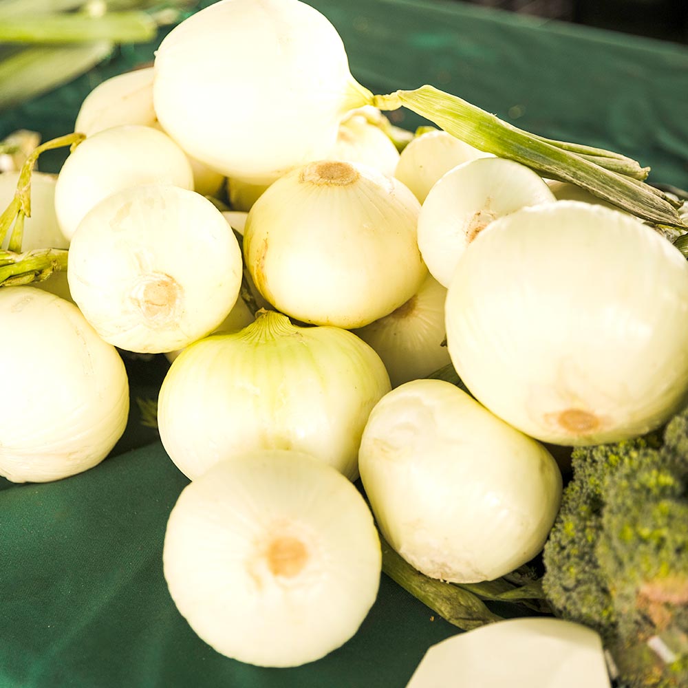 ¿ì¸®Á¸ ¼¼Ã´¾ßä ±ñ¾çÆÄ 1KG 5ÀÔ³»¿Ü(4-6ÀÔ)/ES ½Å¼±Ã¤¼Ò