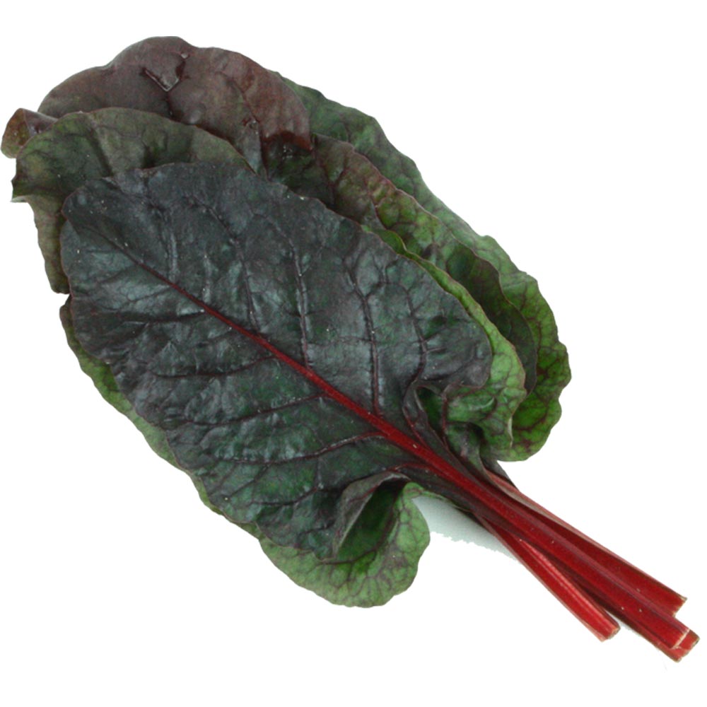 ¿ì¸®Á¸ ¼¼Ã´¾ßä Àû±Ù´ë 300g x 1ÆÑ/ES Áú¼ÒÃæÀü ½Å¼±Ã¤¼Ò