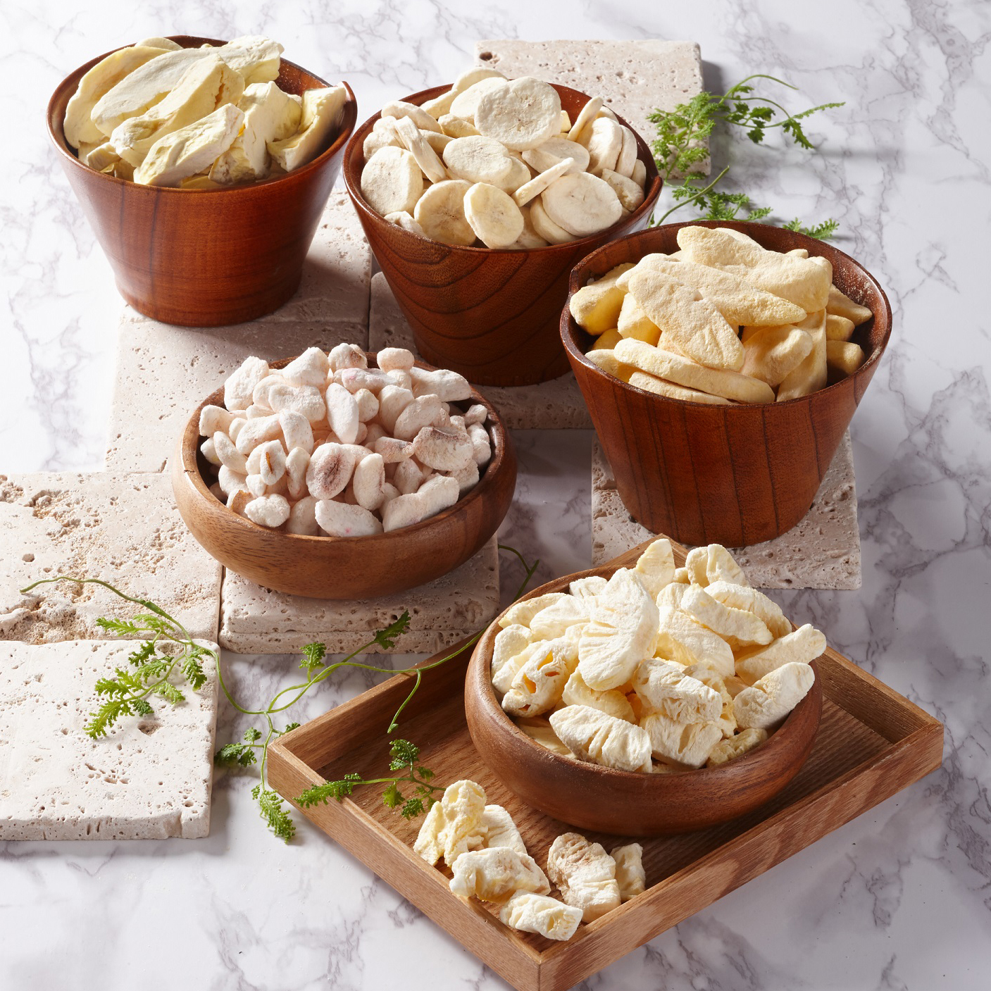 µ¿°á°ÇÁ¶°úÀÏ 5Á¾ °ñ¶ó´ã±â(1ÆÑ)