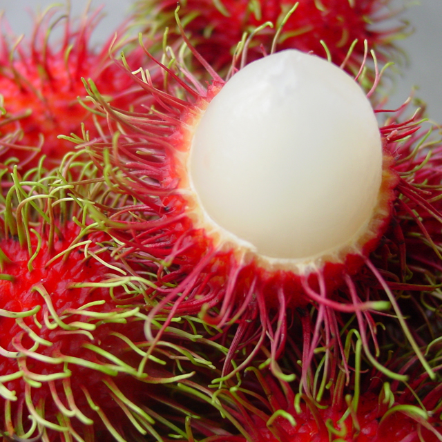 �����ʵ� ����ź 1kg(1kgx1ea)